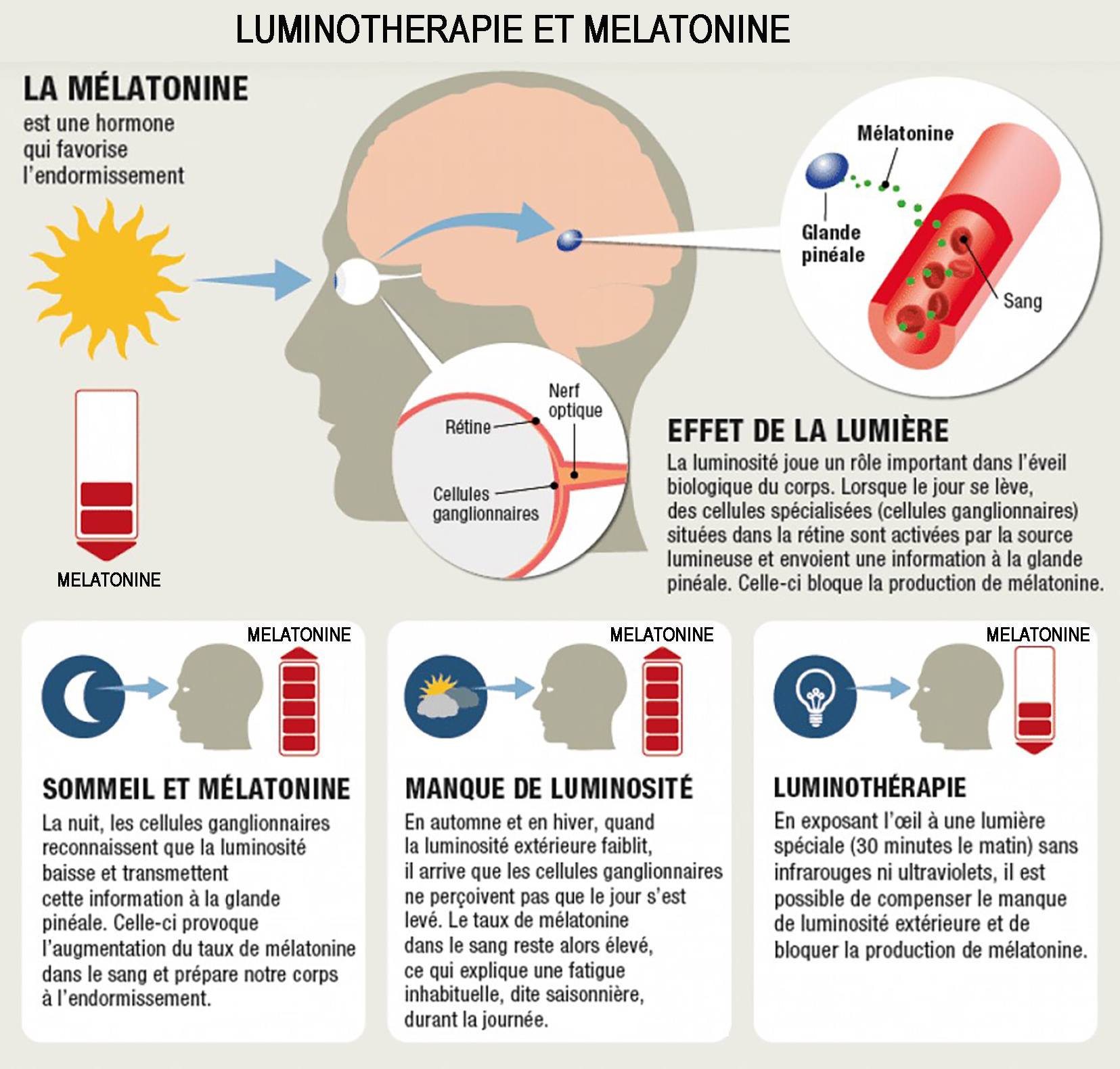 SCHEMA LUMINOTHERAPIE MELATONINE