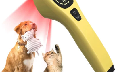 Dermatites & hot spots : comment la lumière rouge guérit la peau de vos chiens et chats en 15 min/jour