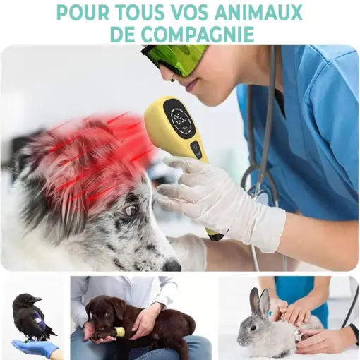 Appareil de luminothérapie photothérapie à lumière rouge pour chats et chiens – Image 5