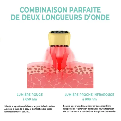 Appareil de luminothérapie photothérapie à lumière rouge pour chats et chiens – Image 2
