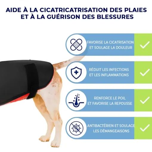Ceinture de luminothérapie photothérapie à lumière rouge pour chats et chiens – Image 3