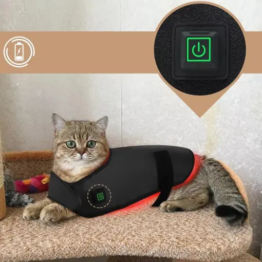 Ceinture de luminothérapie photothérapie à lumière rouge pour chats et chiens – Image 6