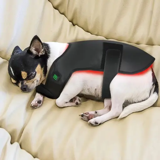 Ceinture de luminothérapie photothérapie à lumière rouge pour chats et chiens – Image 2
