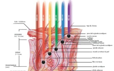 Comment la lumière impacte votre peau ?