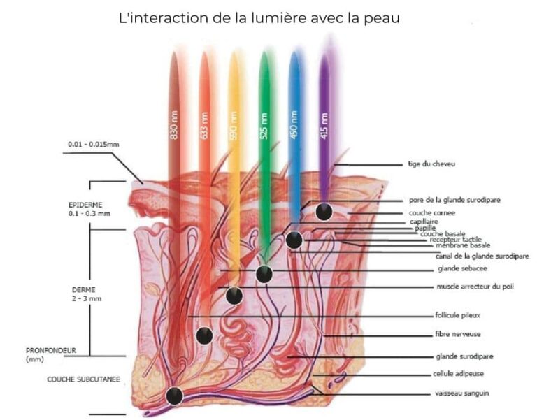 Comprendre les effets des LED sur la peau