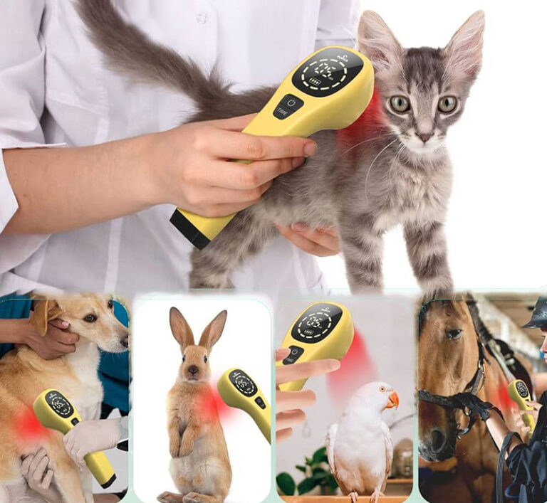 Choisir la lumière rouge pour soigner la peau de votre animal