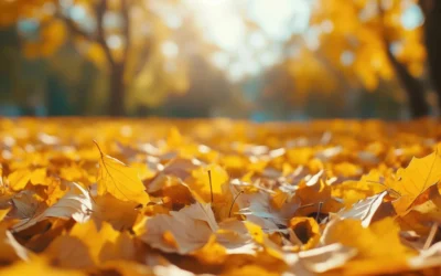 Comment garder sa bonne humeur estivale en ce début d’automne ?