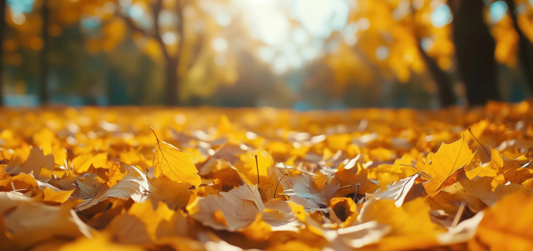 Comment garder sa bonne humeur estivale en ce début d'automne ?
