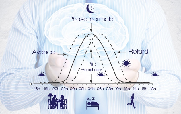 La mélatonine et les phases de sommeil