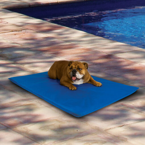 tapis rafraichissant pour chien cool bed III climsom g1