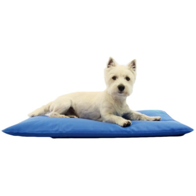 Tapis rafraichissant pour chien cool bed iii climsom g2
