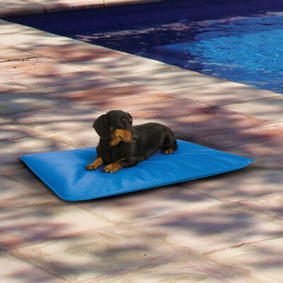 tapis rafraichissant pour chien cool bed III climsom g3